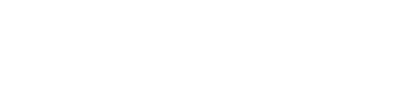 Our purpose and vision
