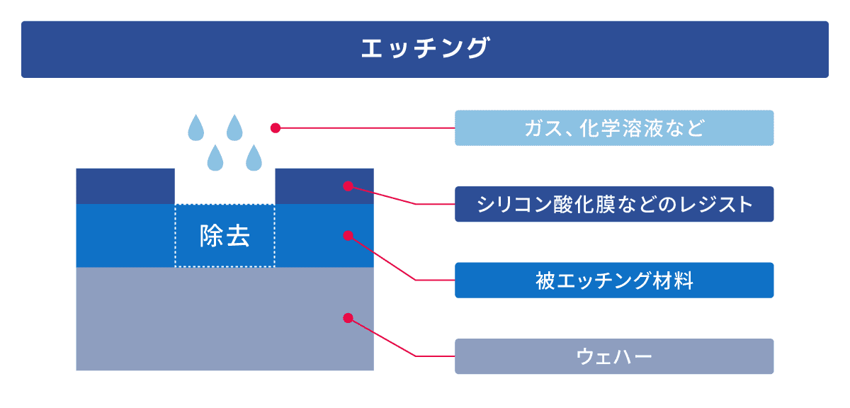 図版12.png