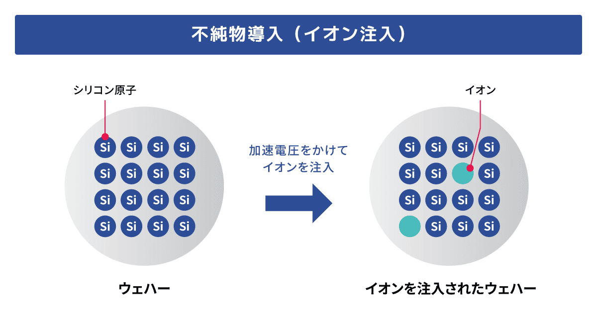 図版13.png
