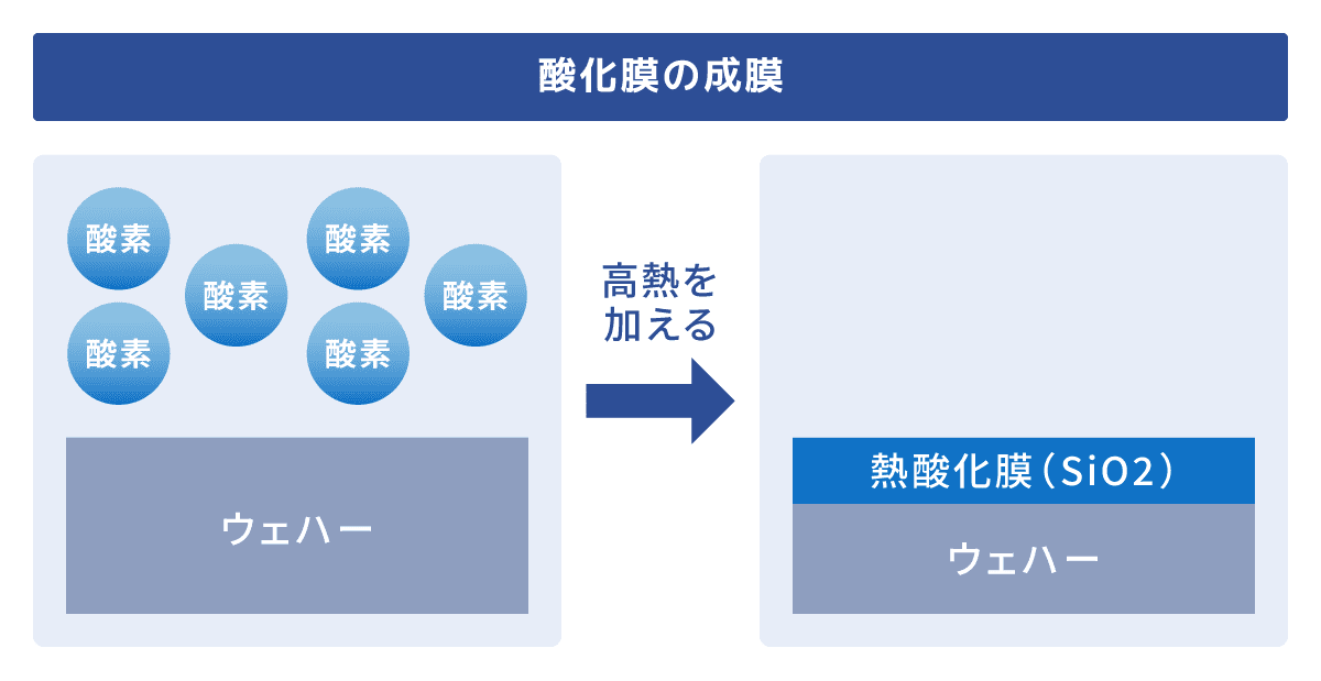 図版10.png